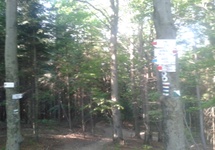 Do wyboru do koloru, szlaki w Beskidzie Sądeckim