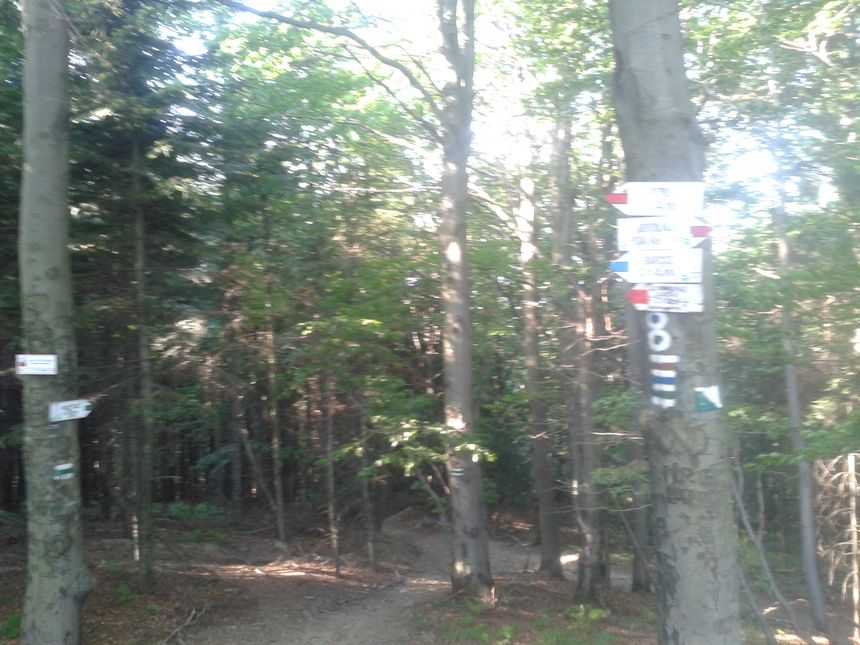 Do wyboru do koloru, szlaki w Beskidzie Sądeckim