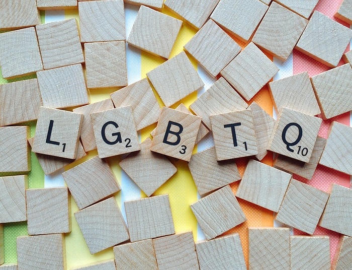 Paragraf za obrazę uczuć LGBT