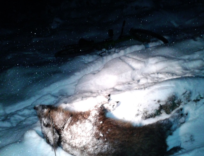 Historia sprzed dobrych paru lat...