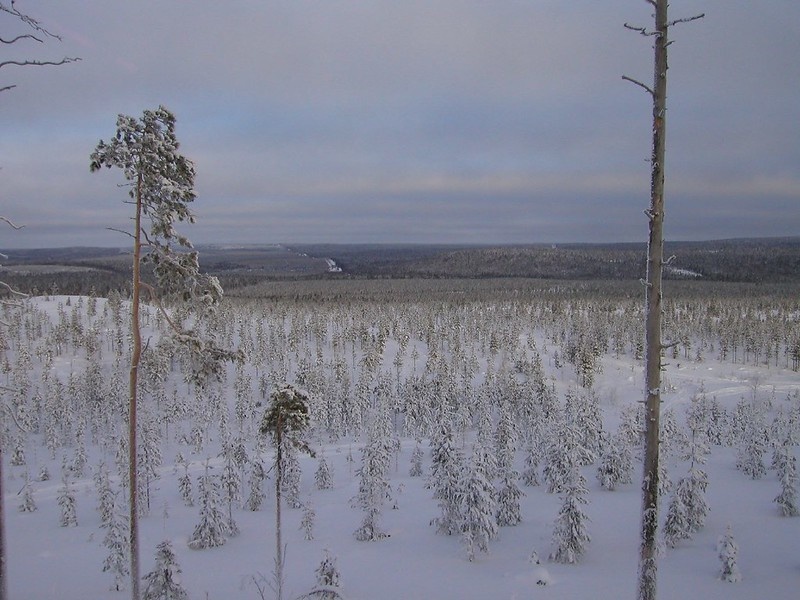 Finlandia planuje wzmocnienia na granicy z Rosją. fot. Timo Newton-Syms, CC BY-SA 2.0