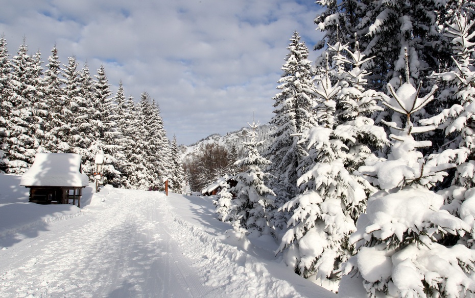 Zima w Tatrach. Źródło: PAP archiwum