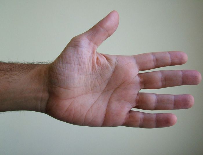 Czy ten gest jest akceptowalny? Sprawdź zanim popełnisz gafę!