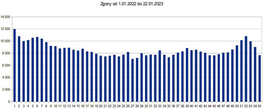 Nowe dane GUS o zgonach Polaków