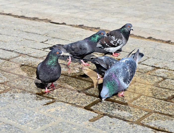 Mieszkańcy polskich miast będą masowo umierać? „Problem jest naprawdę realny”