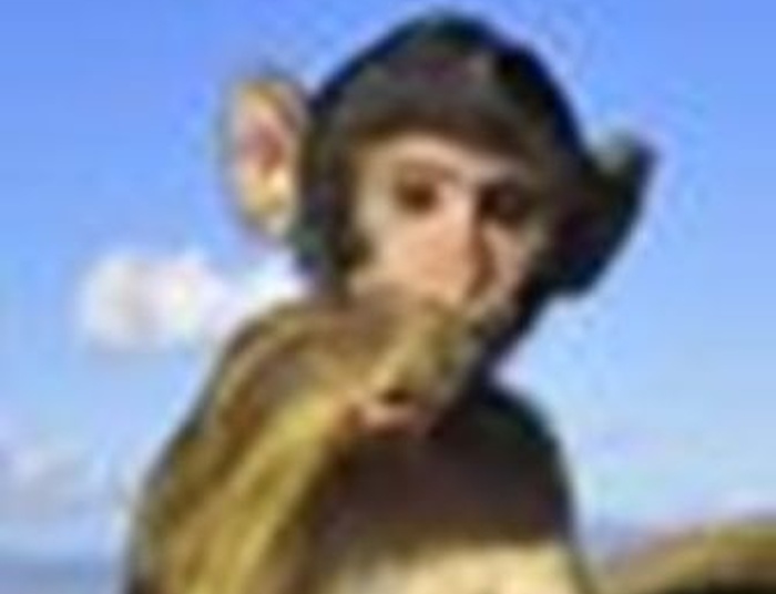 Mój komentarz do notki blogera @Siukum Balala pt. „Donald Tusk – Kierownik sklepu „Żabka”