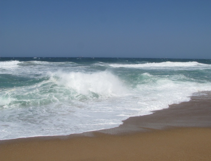 Mowa nienawiści, podwójne standardy i dwumowa - RPA i nie tylko