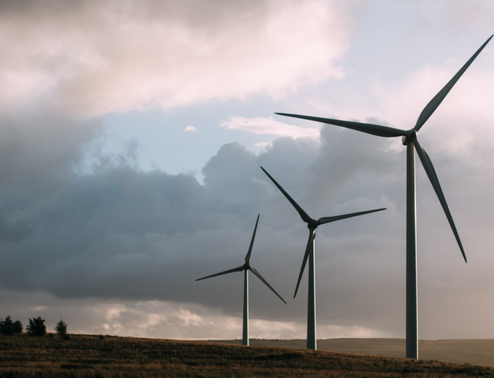 Ciemna flauta pustoszy Niemcy. To zmora fotowoltaiki i farm wiatrowych