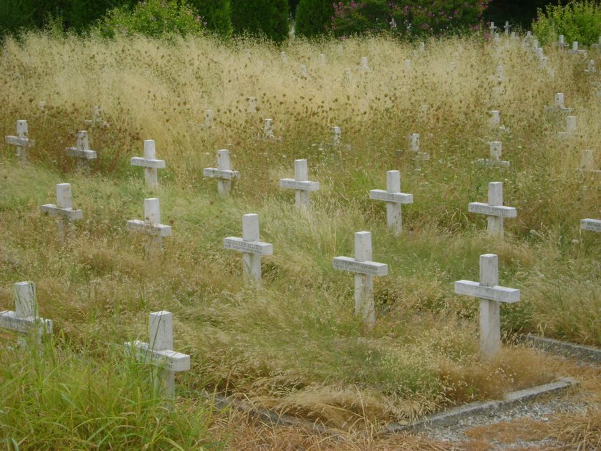 Fragment cmentarza żołnierzy polskich w Bolonii (San Lazzaro di Savena) 14 VIII 2013 r. Foto: Robert Pieńkowski