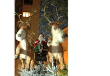 Oczywiście jest też św. Mikołaj i jego stajnia pluszowych reniferów w naturalnej wielkości! Zdjęcie A.W