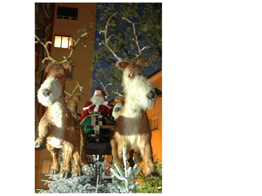 Oczywiście jest też św. Mikołaj i jego stajnia pluszowych reniferów w naturalnej wielkości! Zdjęcie A.W