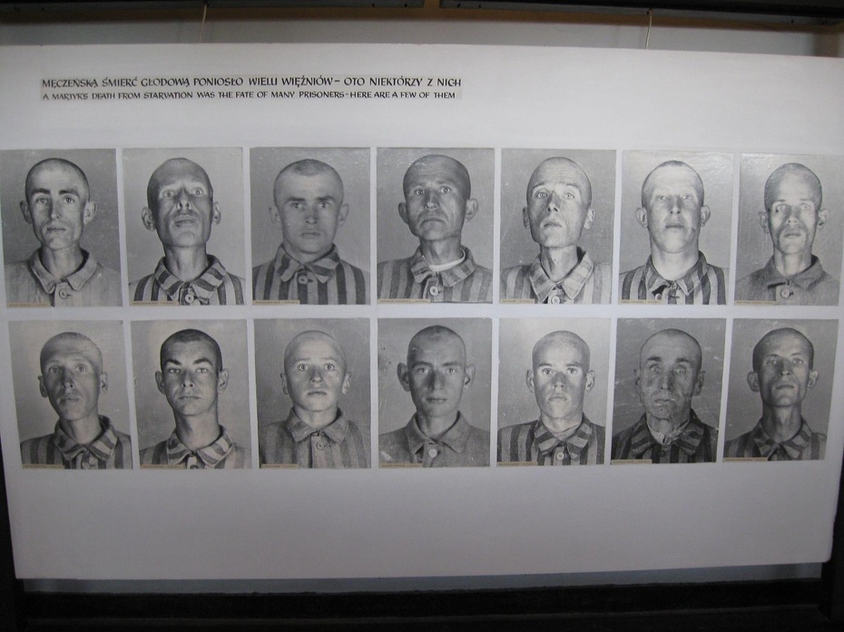 Polscy więźniowie Auschwitz skazani na śmierć głodową (fot.Michał Tyrpa)
