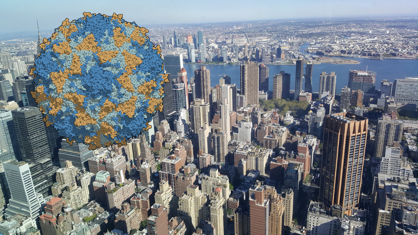 W Nowym Jorku wykryto wirus polio. Źródło: commons.wikimedia.org, flickr.com