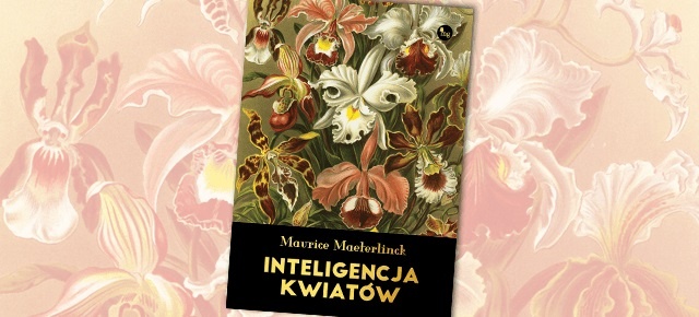 MG proponuje Inteligencję kwiatów - noblisty Maurice'a Maeterlincka