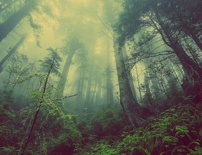 Ostrze obojętności