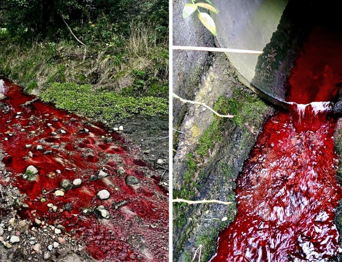 "Krwawa" woda w łódzkiej rzece. Wykryto sprawców zanieczyszczenia