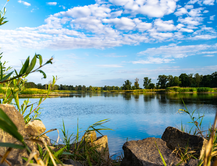 Niewykorzystany potencjał Wisły i Odry