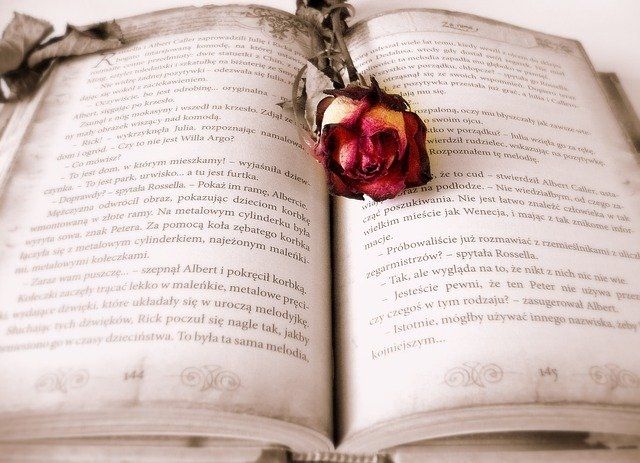 książka i róża, światowy dzień książki, salon24