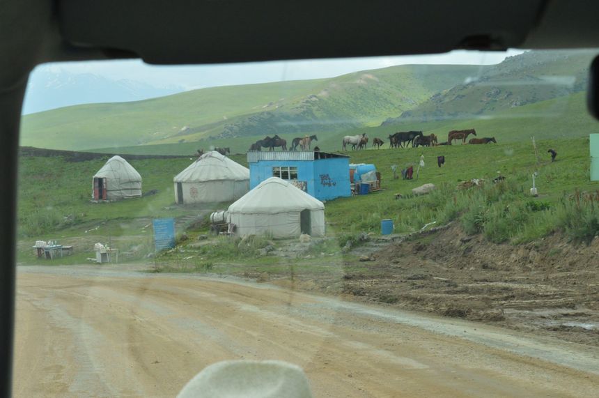 Jurty na pastwisku, Kirgistan, lipiec 2016. Fot. Piotr Matuszak