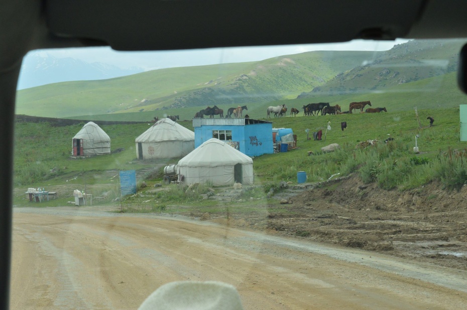 Jurty na pastwisku, Kirgistan, lipiec 2016. Fot. Piotr Matuszak