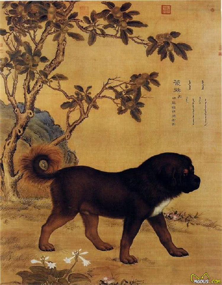 Obraz namalowany przez Giuseppe Castiglione (Lang Shining) dla cesarza Qianlong