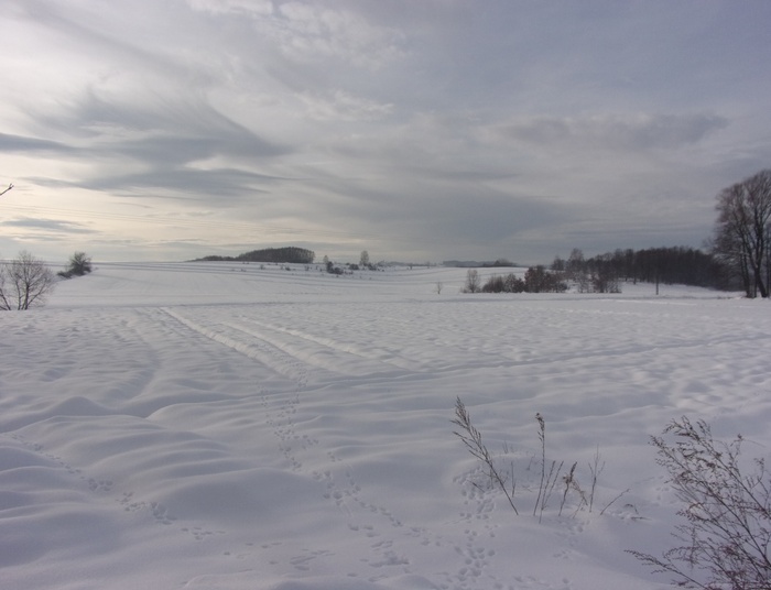 Ku pamięci... Tak wygląda zima