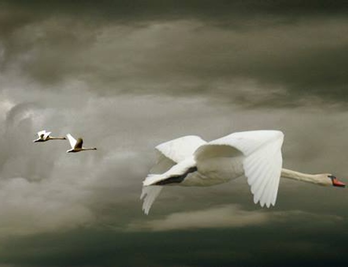 Tak kiedyś na miotle sobie leciałam i taką fotę jakoś mi się zrobiło :)