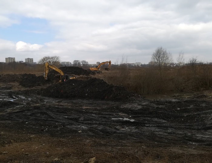 Praca promissowego mózgu czyli rzecz o kłodach