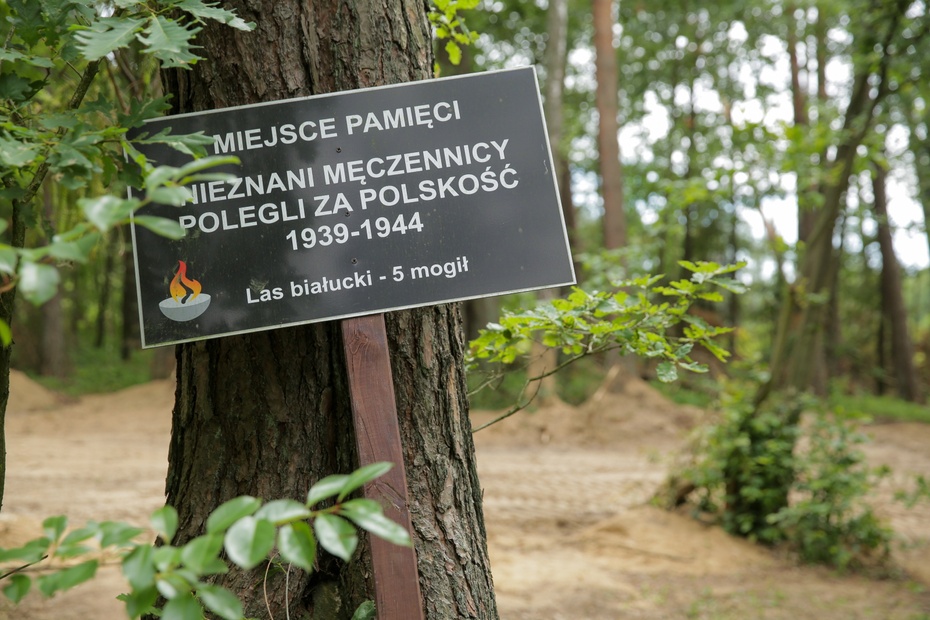 Las białucki niedaleko miejscowości Iłowo Osada w powiecie działdowskim jest jednym z wielu miejsc potwornych zbrodni niemieckich za czasów II wojny światowej. Źródło: PAP/Tomasz Waszczuk