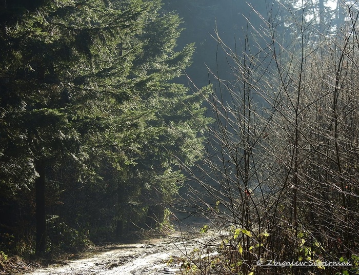 Idąc za światłem Gwiazdy Betlejemskiej