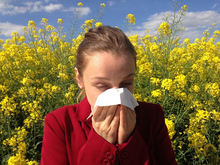 Najczęstszym objawem alergii jest katar sienny. Fot.: Pixabay