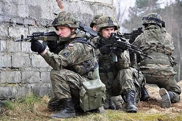 Polska Zbrojna polscy zołnierze w mundurach polowych