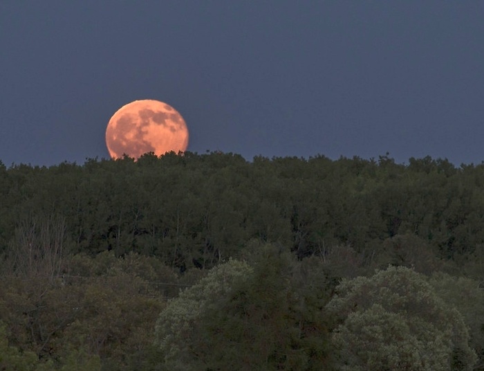 Dziś na niebie wyjątkowe zjawisko - Truskawkowy Księżyc
