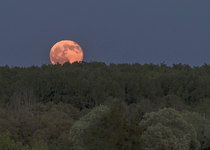 Truskawkowy Księżyc, fot. Flickr/Robert Breckenridge
