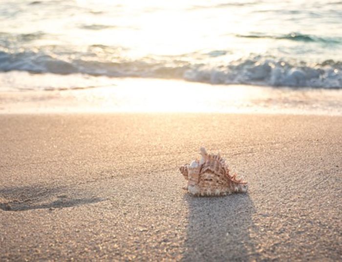 Tyle na wakacje wyda statystyczny Polak. Wszystkie ceny poszły w górę
