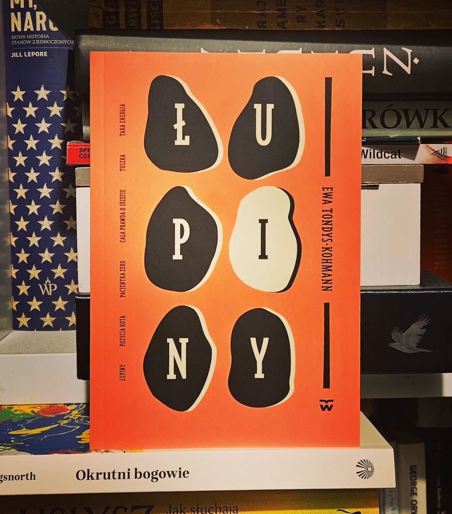 "Łupiny", fot. K.Mączkowski