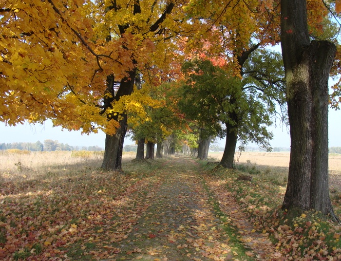 Mazowiecka Via Appia i jej towarzysze