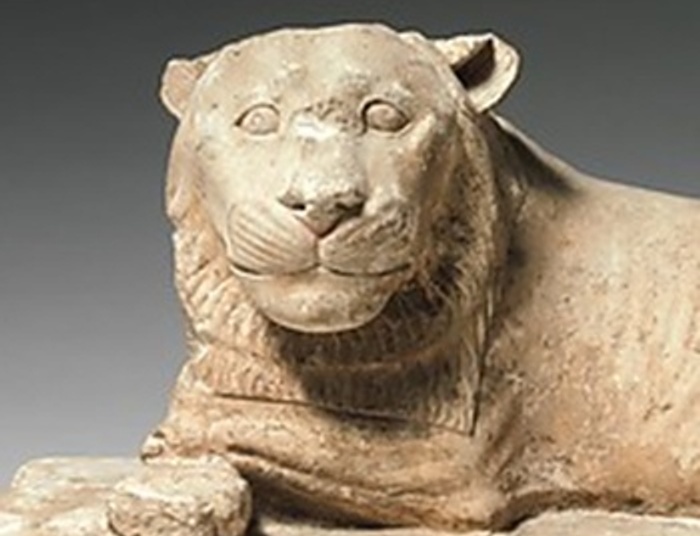 O winie, niewinności i lwach, które się śmieją...