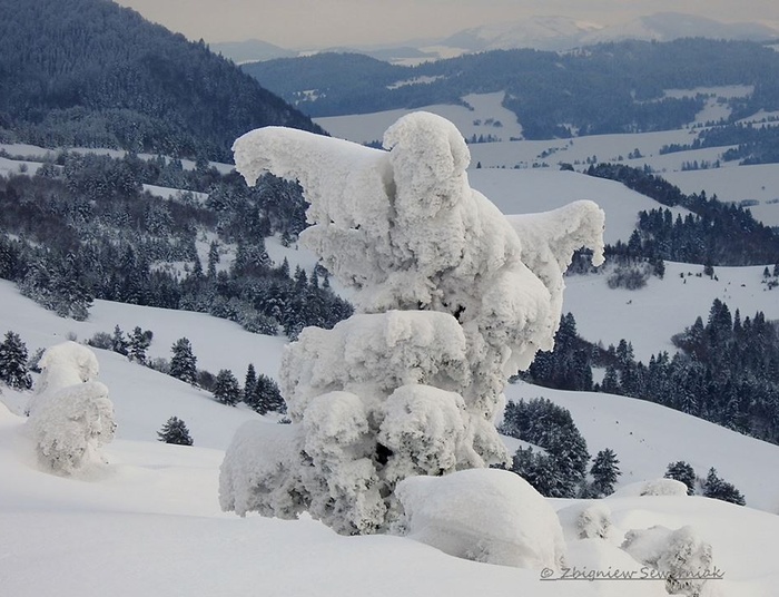 Nabieram zimę w płuca, patrząc na zdjęcie