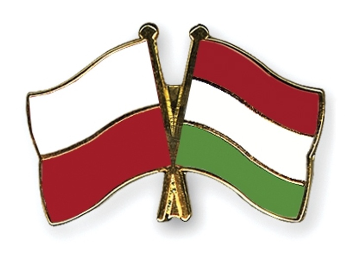 Broniąc Węgier - bronimy siebie. Spór między prawicą a lewicą w Polsce o rezolucję PE