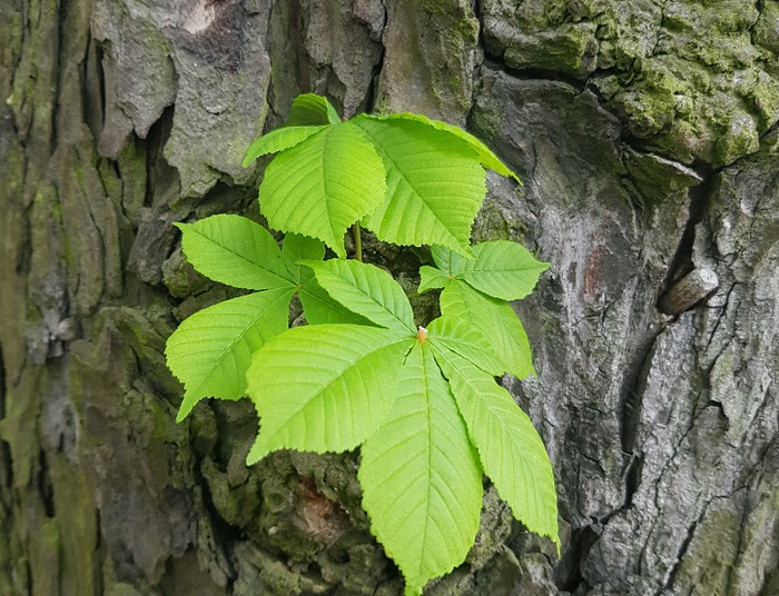 Medytacje szarodzienne: Więzi