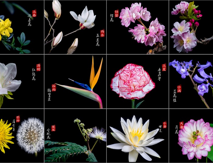 Dwadzieścia cztery terminy słoneczne