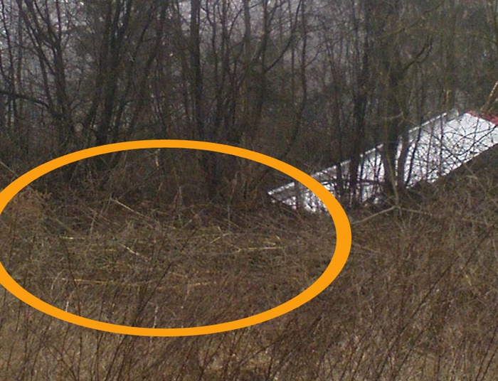 W kapeluszu Panama > BAN za głos w sprawie Smolenska ! !