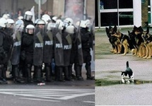 Znalezione w sieci.    Znajdź kilka szczegółów....