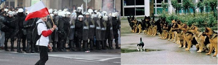 Znalezione w sieci.    Znajdź kilka szczegółów....