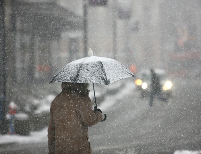 Nad Polską powiało grozą i psy się rozwyły