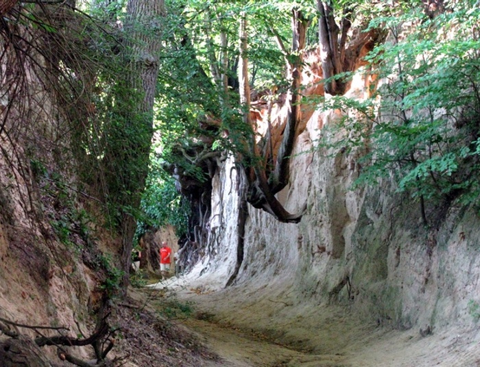 Wrzucę trzy zdjęcia - Ufka resztę dopowie czyli głębocznica