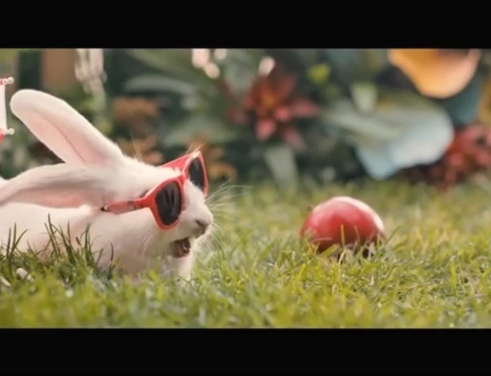 „Mnóżmy się jak króliki” – kontrowersyjna kampania Ministerstwa Zdrowia