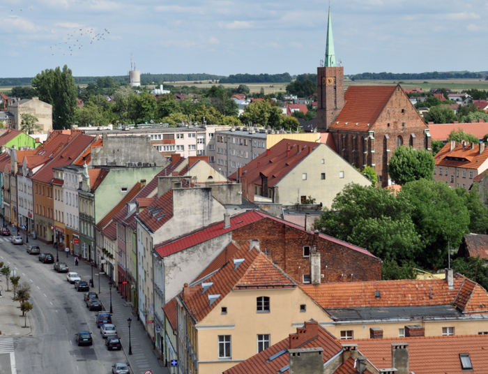 Skarb średzki, ruiny pałacu i Aleja Kasztanowa. Poznaj Dolny Śląsk od nowa