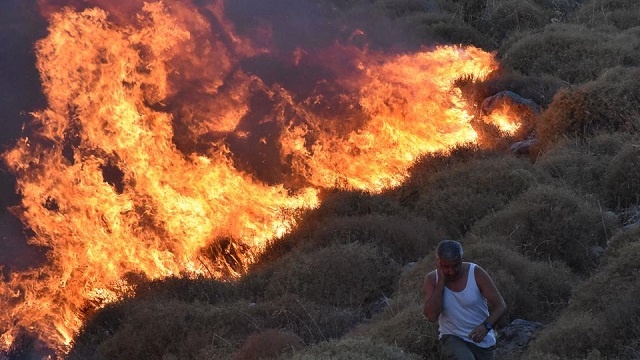Pożary w Turcji sieją spustoszenie. Fot.: trtworld.com